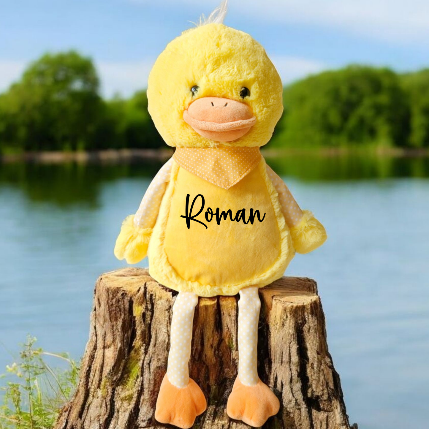 Duck Personalised Soft toy