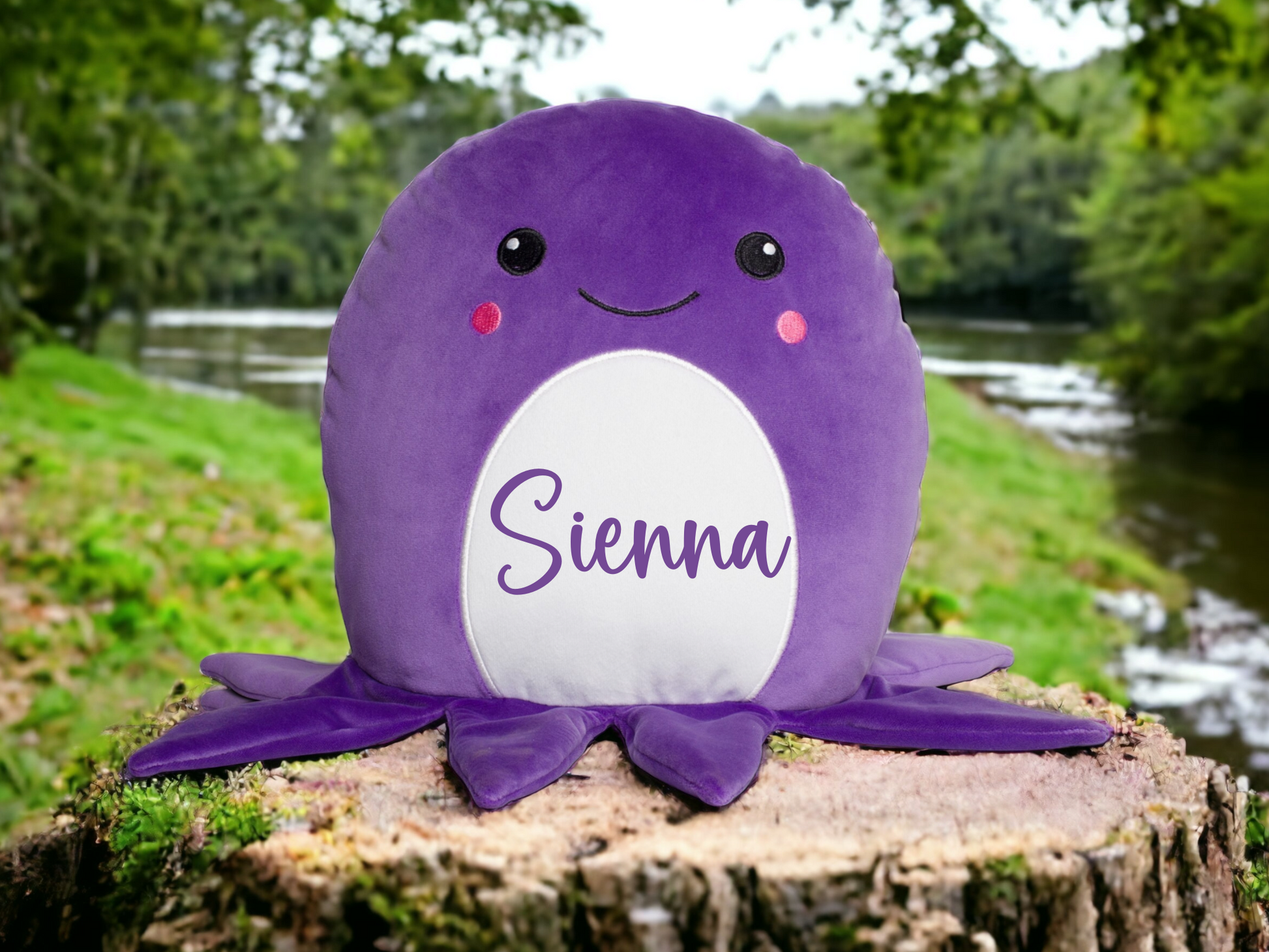 Personalised Squidgy Octopus Soft Toy Cushion 29cm image 0