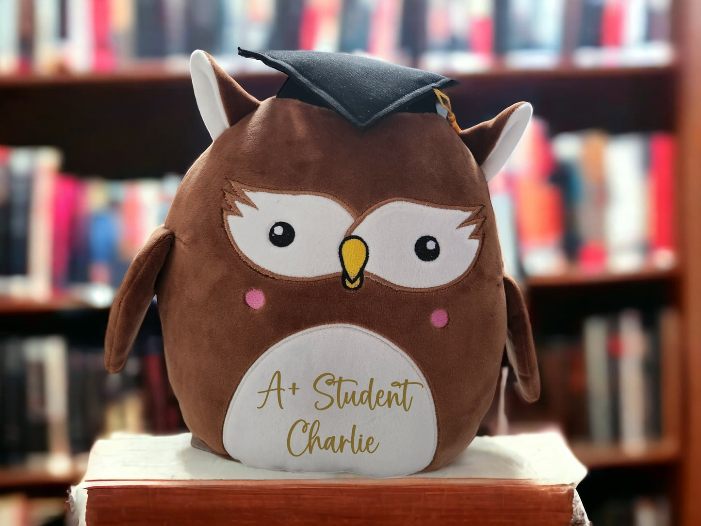Personalised Graduation Gift Owl Squidgy Soft Toy Cuddly Plush Birthday Present Student Exams Congratulations Academic Achievement 29cm