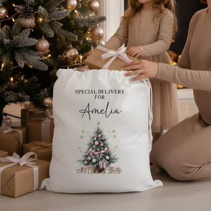 Personalised Santa Sack - Special Delivery