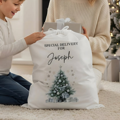 Personalised Santa Sack - Special Delivery